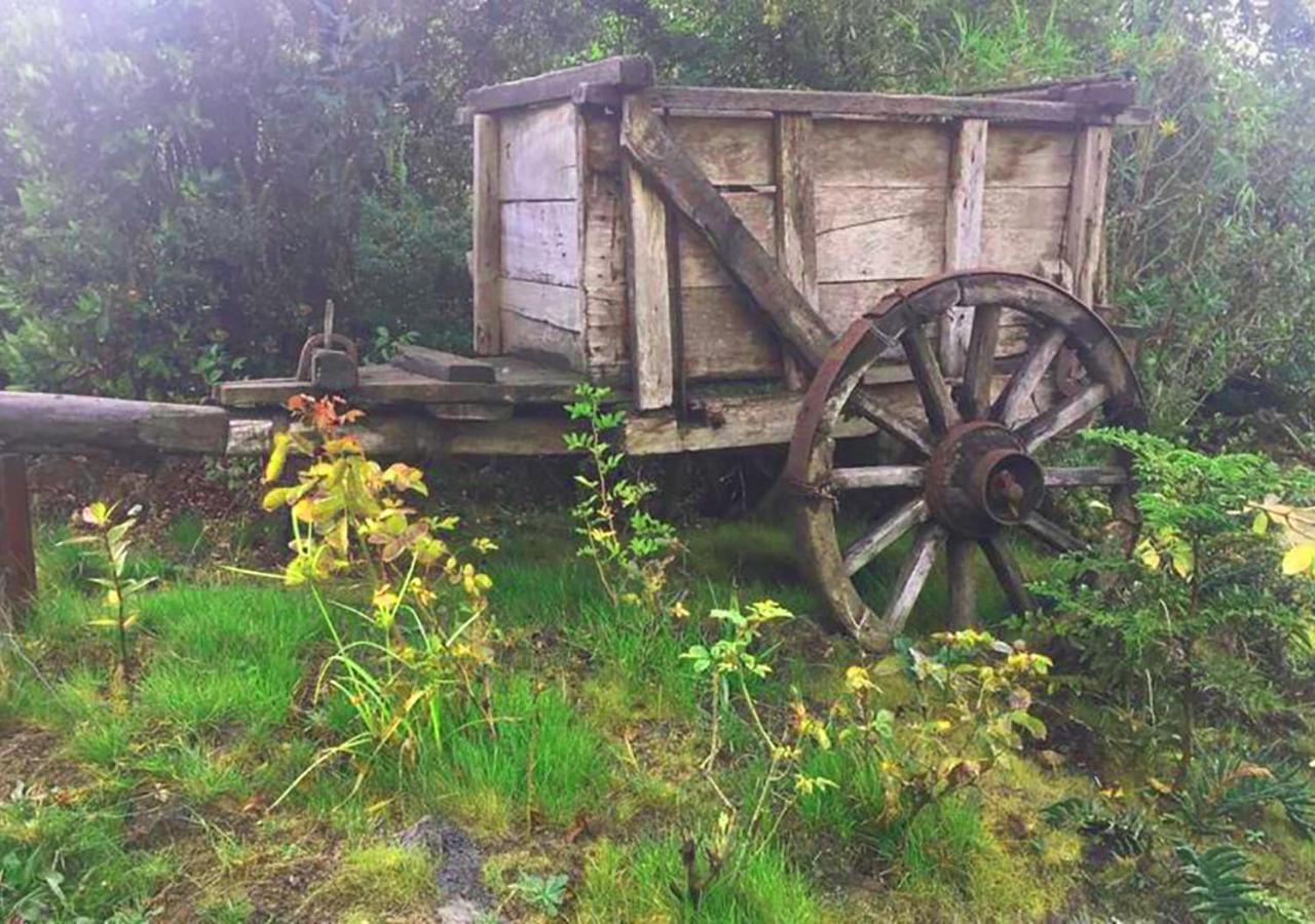 Cabanas Los Cantos Del Chucao Puerto Varas Zewnętrze zdjęcie