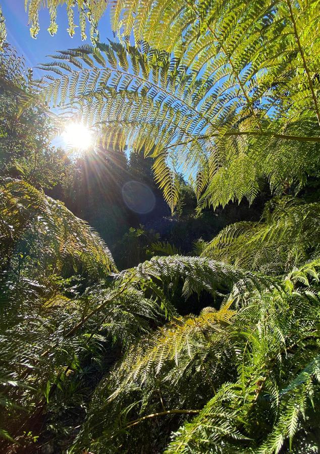 Cabanas Los Cantos Del Chucao Puerto Varas Zewnętrze zdjęcie